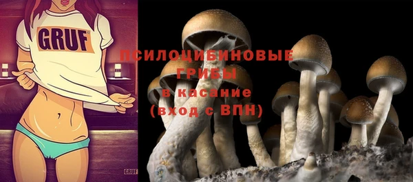 дмт Балахна